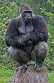 Zoo Schmiding 032